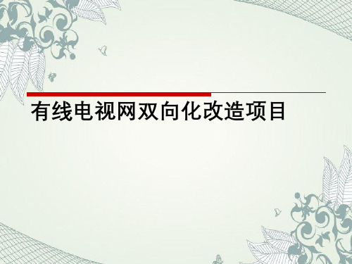 有线电视网双向化改造项目