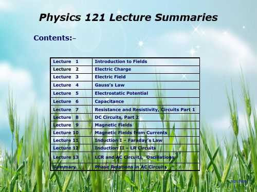 One page lecture summaries一页的演讲摘要PPT