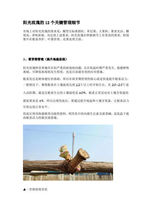 阳光玫瑰的12个关键管理细节
