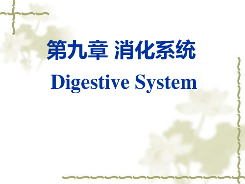 消化系统