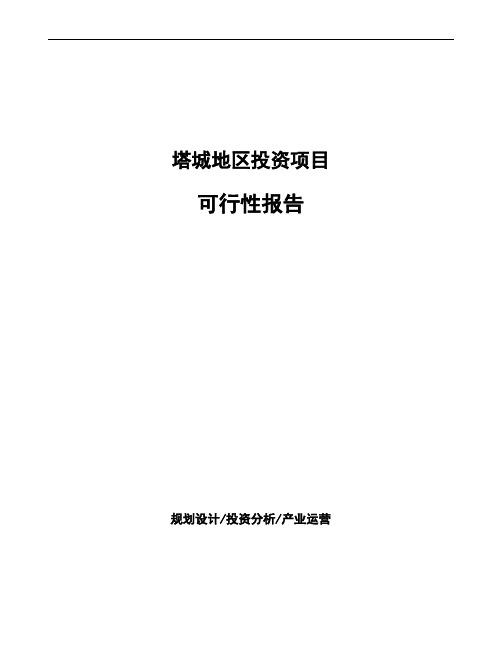 塔城地区项目可行性报告(立项申请)