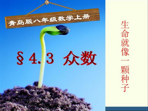 青岛版八年级数学上册课件：4.3 众数(共22张PPT)