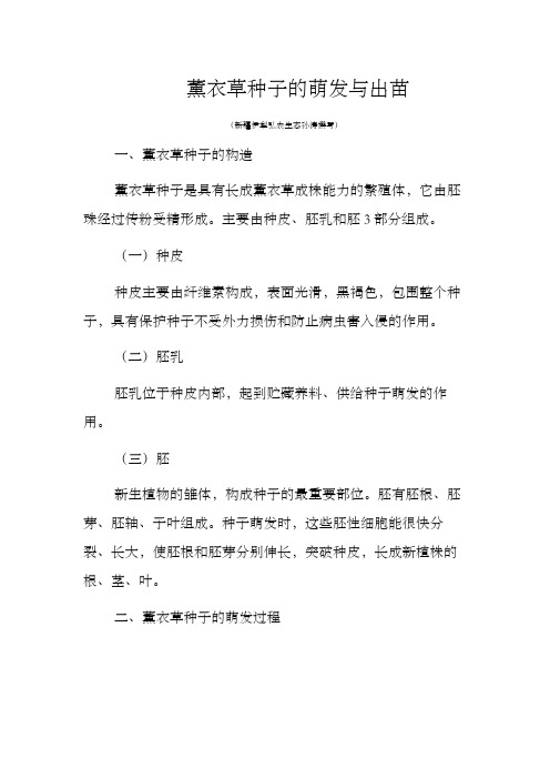 薰衣草高效栽培实用技术之薰衣草种子的萌发与出苗