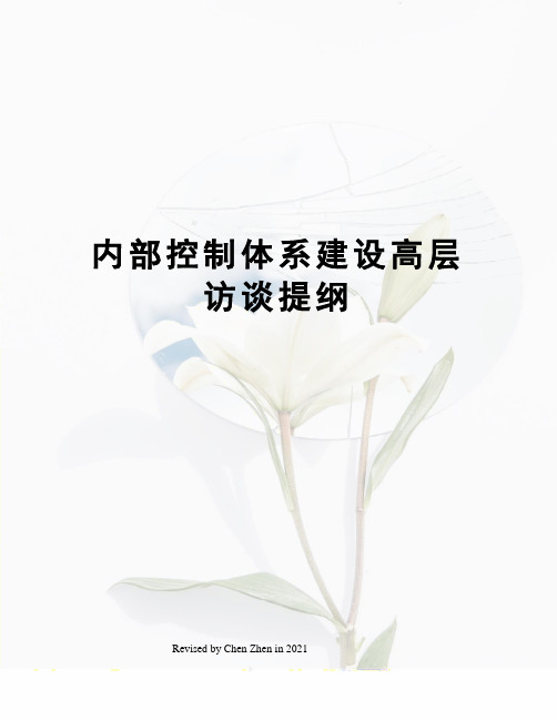 内部控制体系建设高层访谈提纲