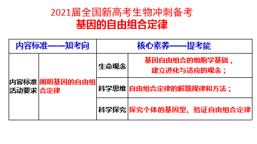 2021届全国新高考生物冲刺备考——基因的自由组合定律