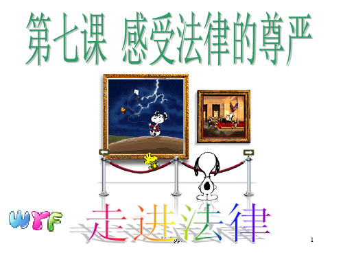 政治课件：人教版七下  走进法律