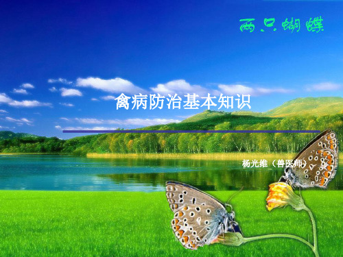 禽病防治