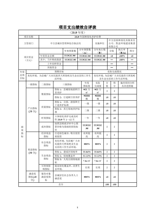 项目支出绩效自评表