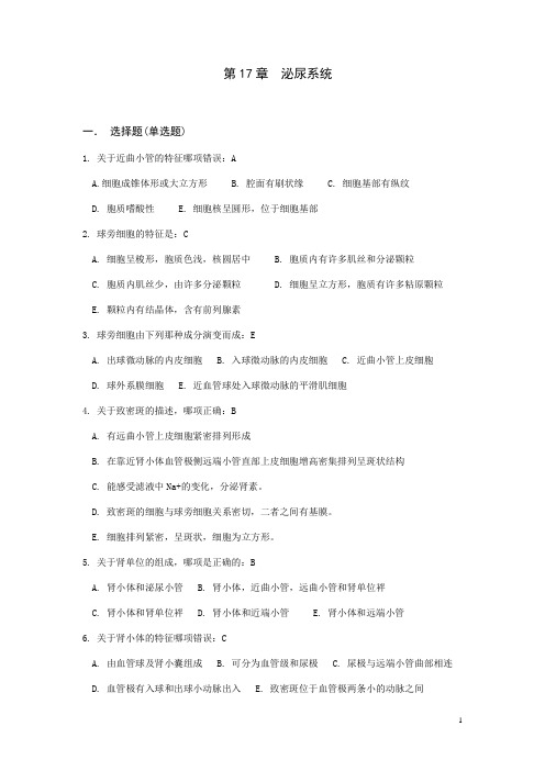 第17章泌尿系统
