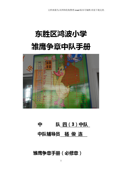 鸿波小学四三班雏鹰争章手