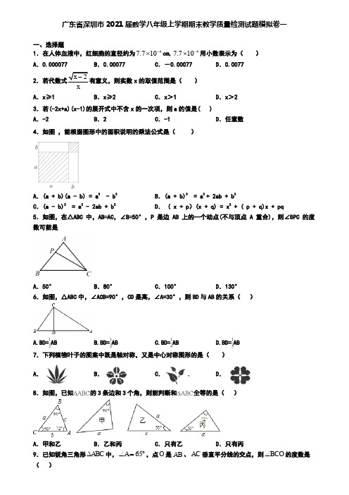 广东省深圳市2021届数学八年级上学期期末教学质量检测试题模拟卷一