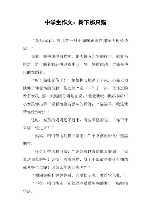 中学生作文：树下那只猫