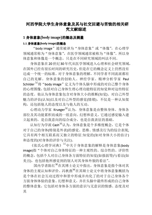 河西学院大学生身体意象及其与社交回避与苦恼的相关研究文献综述