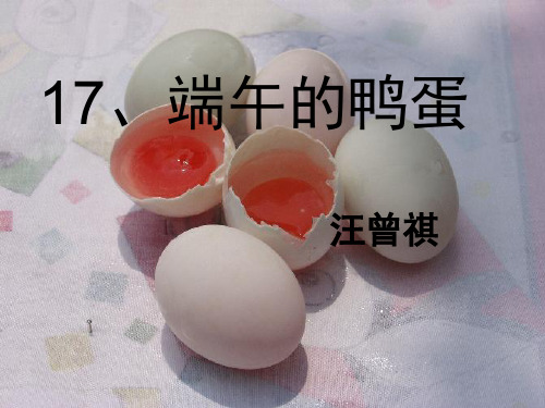 端午的鸭蛋第二课时
