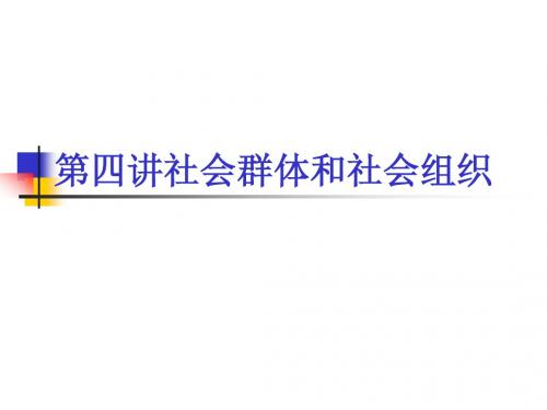 第四讲社会群体和社会组织