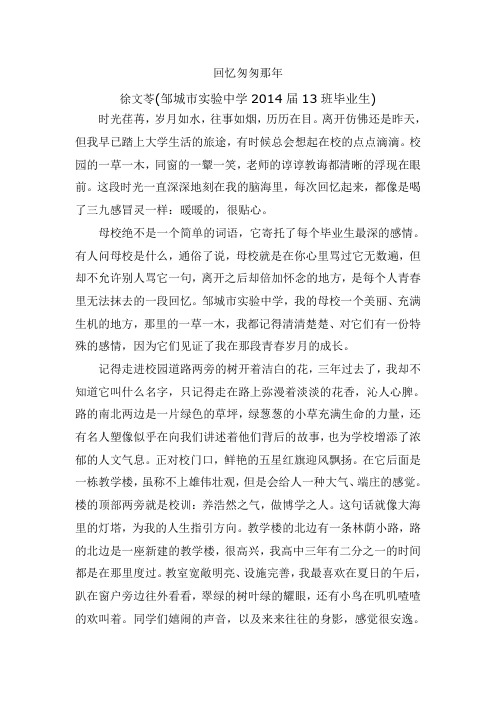 回忆匆匆那年