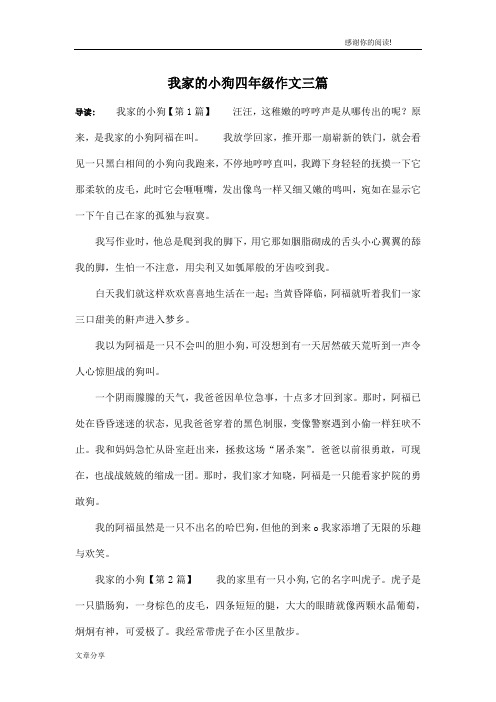 我家的小狗四年级作文三篇