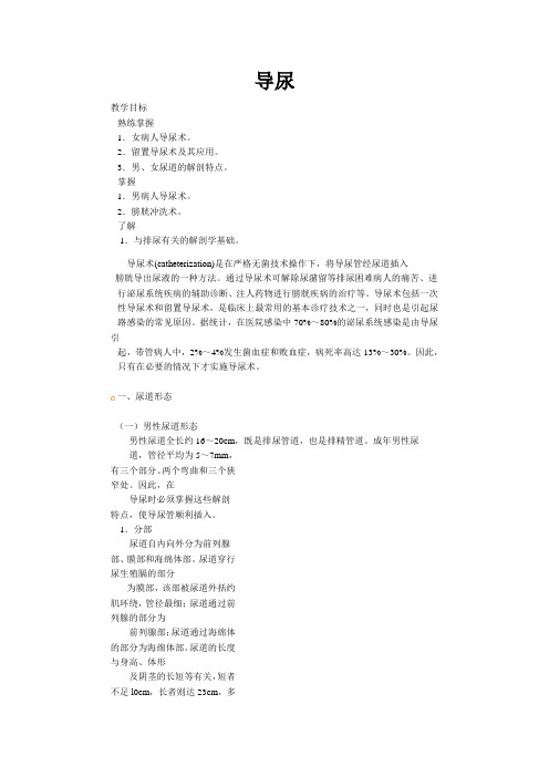 导尿