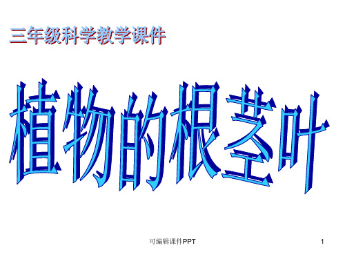 小学三年级科学完整植物的根茎叶ppt课件