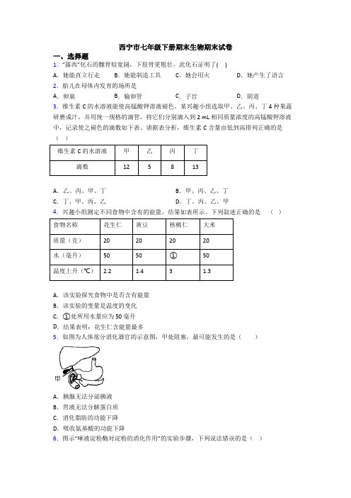 西宁市七年级下册期末生物期末试卷