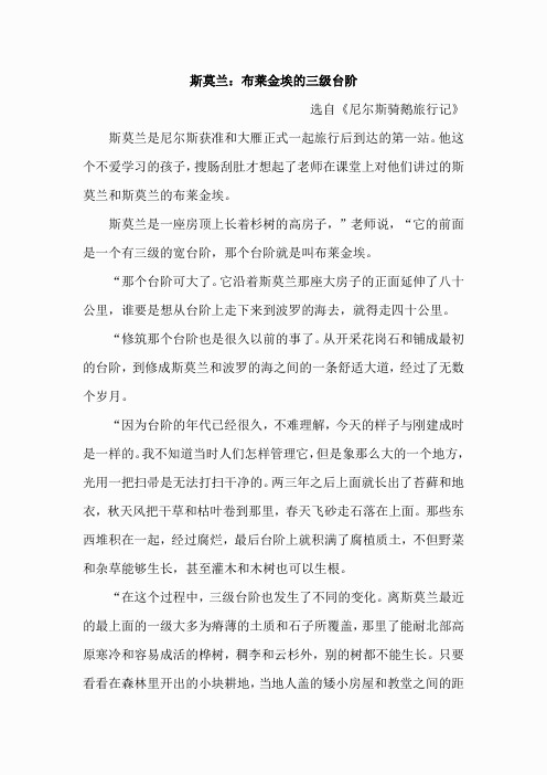 14骑在白鹅的背上(一)(类文)(6)