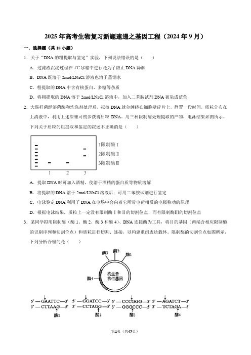 2025年高考生物复习新题速递之基因工程(2024年9月)