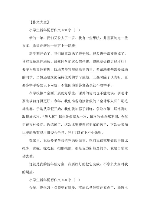 小学生新年畅想作文400字5篇精选