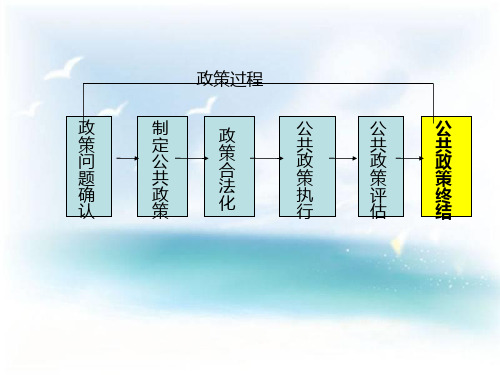 第十章 公共政策终结
