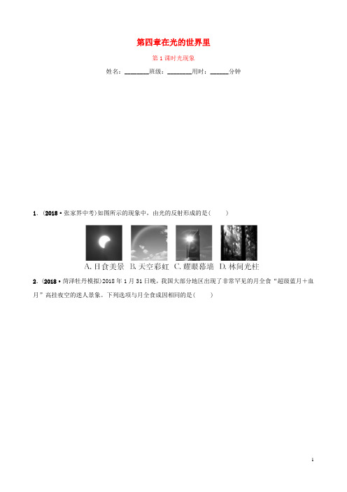 2019中考物理一轮复习 03 在光的世界里 第1课时 光现象试题