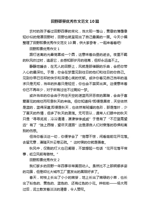 田野即景优秀作文范文10篇