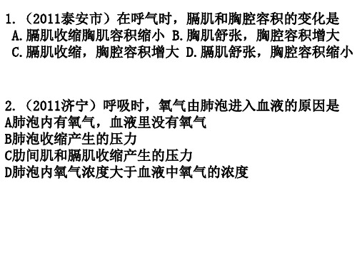 人的生活需要空气练习