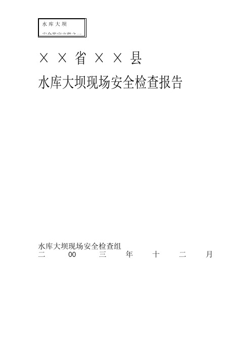 水库大坝现场安全检查报告