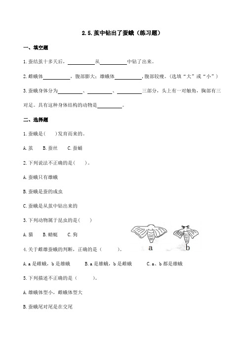 最新教科版科学三年级下册《2.5.茧中钻出了蚕蛾》练习题(附答案)