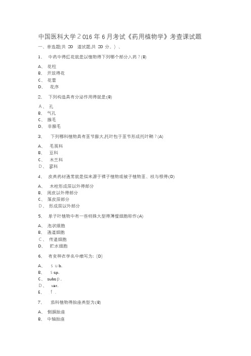中国医科大学2016年6月考试药用植物学考查课试题答案