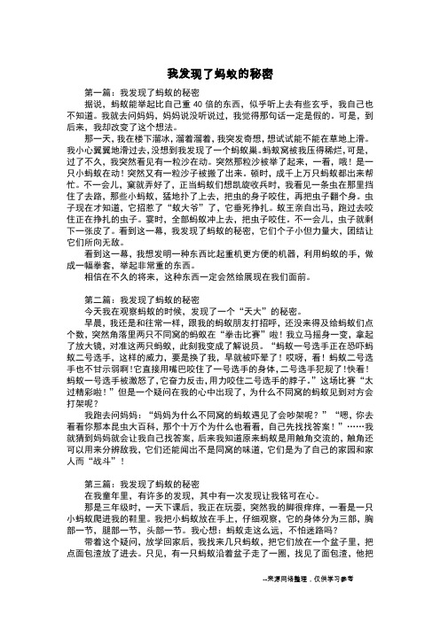 我发现了蚂蚁的秘密_六年级作文