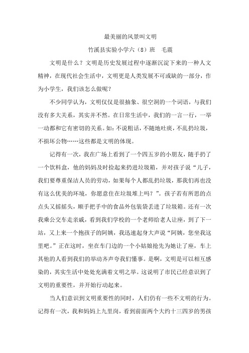 最美丽的风景叫文明