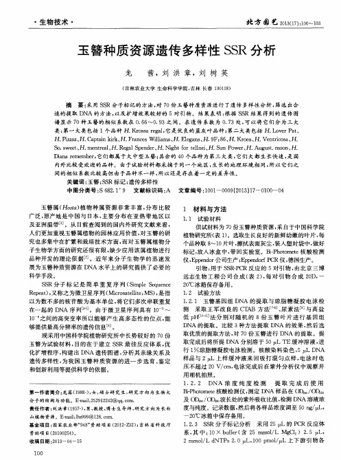 玉簪种质资源遗传多样性SSR分析