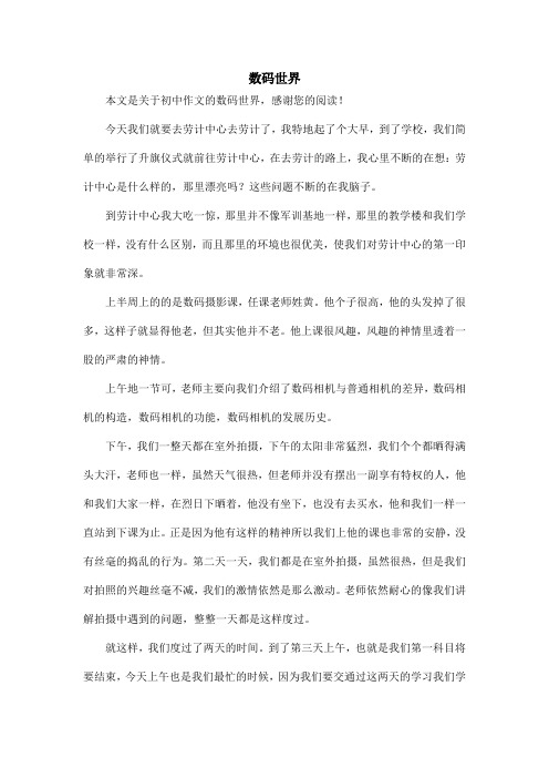 数码世界_初中作文