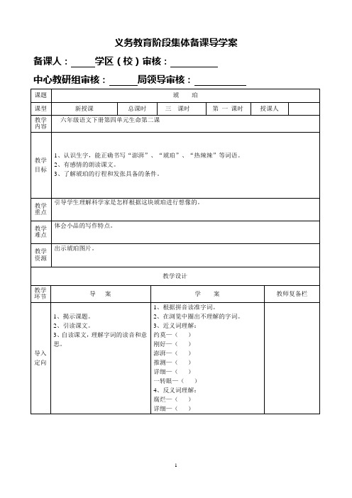 “”琥珀“”第一课时