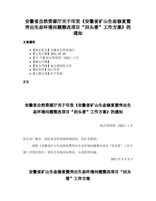 安徽省自然资源厅关于印发《安徽省矿山生态修复暨突出生态环境问题整改项目“回头看”工作方案》的通知