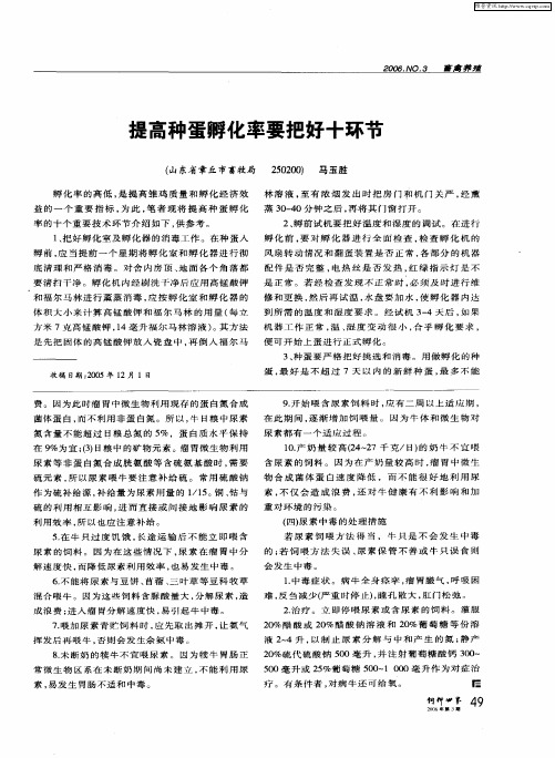 提高种蛋孵化率要把好十环节