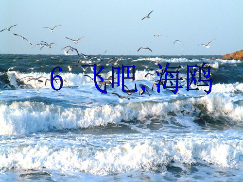 飞吧海鸥课件