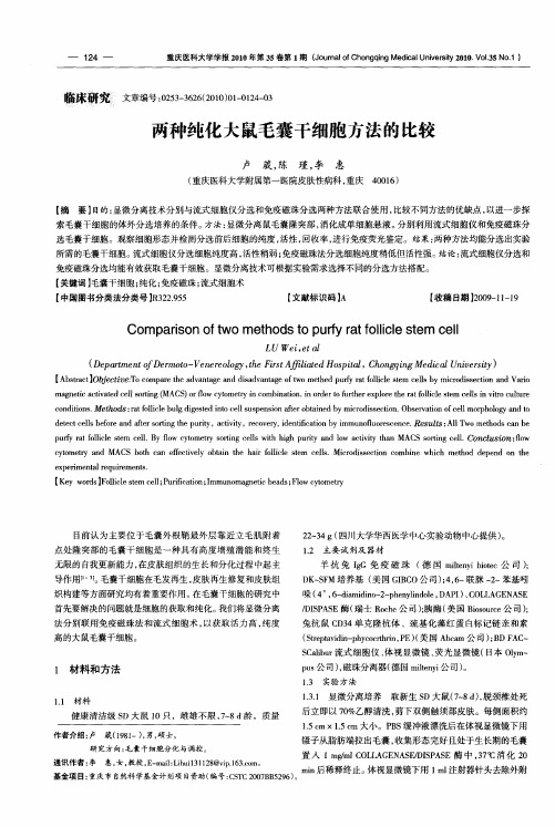 两种纯化大鼠毛囊干细胞方法的比较