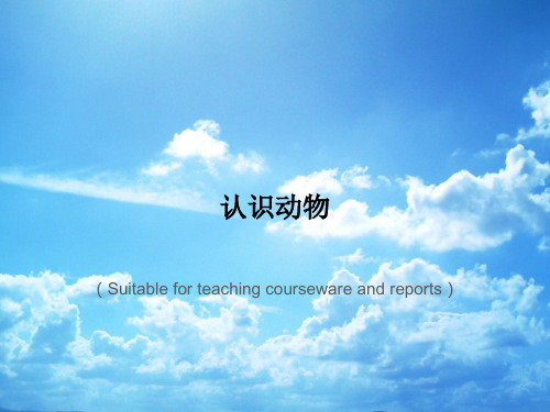 《认识动物》PPT课件