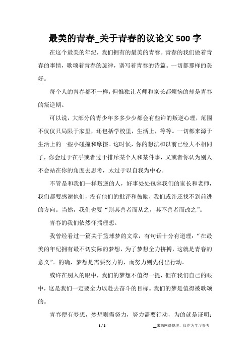 最美的青春_关于青春的议论文500字