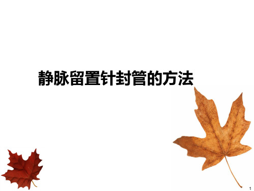静脉留置针封管的方法ppt课件