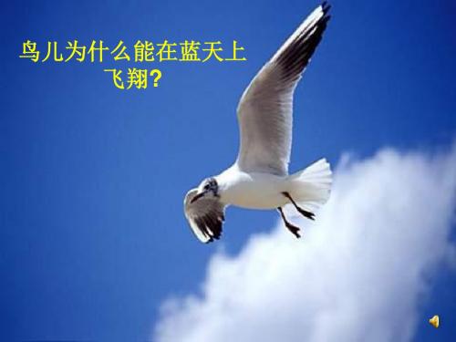 八年级物理流体压强与流速的关系(1)