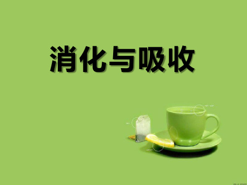《消化与吸收》PPT