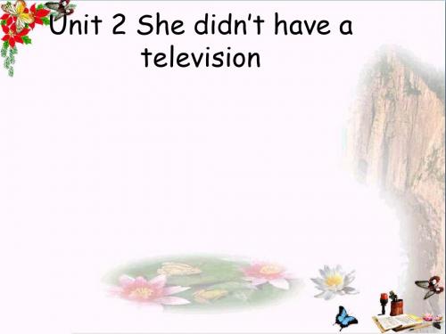五年级英语下册Module1Unit2《Shedidn’thaveatelevision》 优秀课件5(新版)外研版(三起)