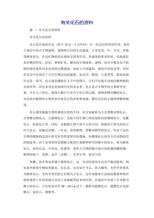 有关化石的资料